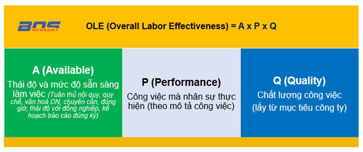 OLE (Overall Labor Effectiveness) = A x P x Q